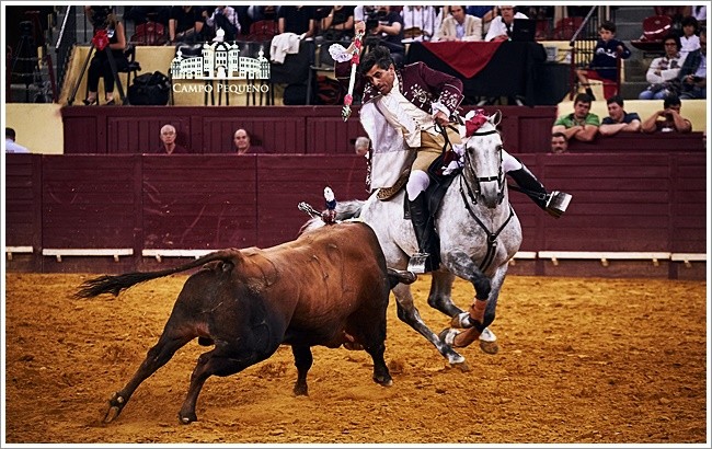 Ficheiro:Luis Rouxinol F16.jpg