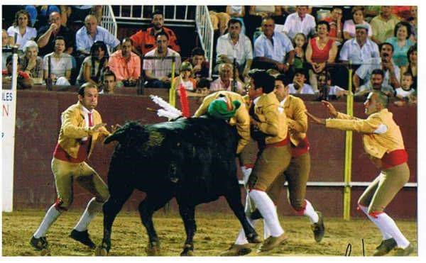 Ficheiro:GFA Arronches F30.jpg