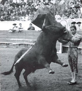 Ficheiro:Diamantino Viseu F1.jpg