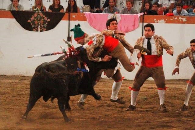 Ficheiro:GFA Arronches F6.jpg