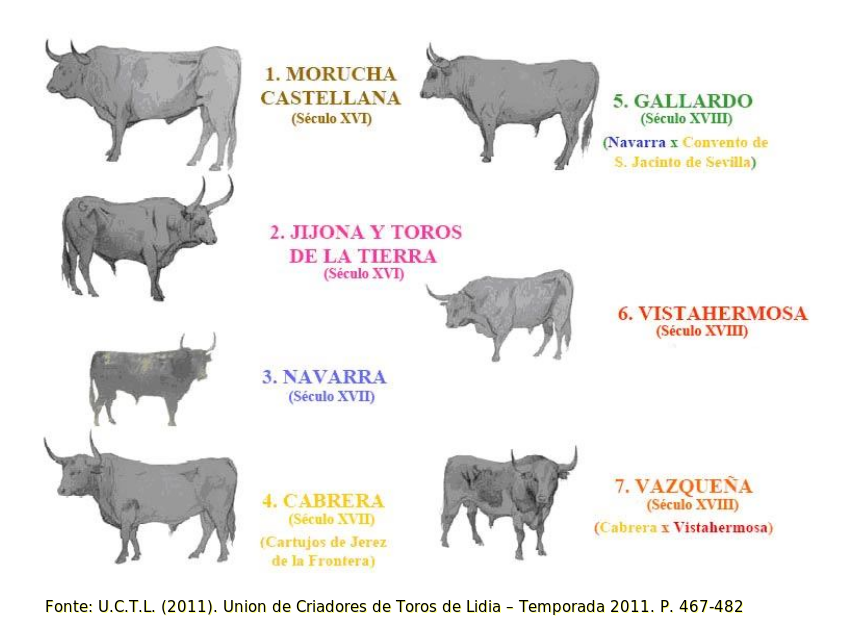 OE00546 Castas Fundacionais.png