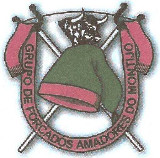 Ficheiro:GFA Montijo.jpg