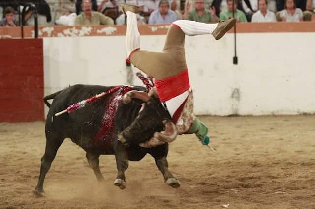 Ficheiro:GFA Arronches F10.jpg
