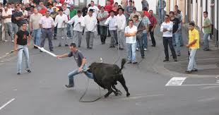 Tourada Corda Imagem3.jpg