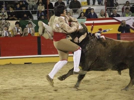 Ficheiro:GFA Arronches F2.jpg