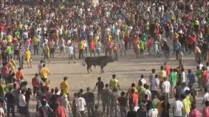 Vaca das Cordas Imagem2.jpg