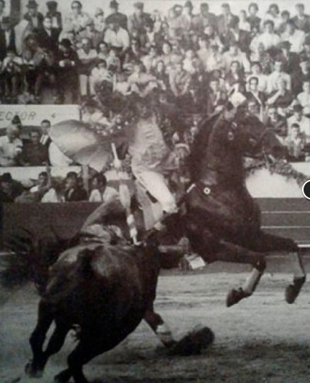 Ficheiro:David Ribeiro Telles F9.jpg