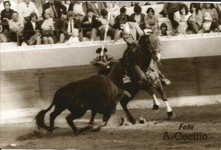 Ficheiro:Luis Rouxinol F5.jpg