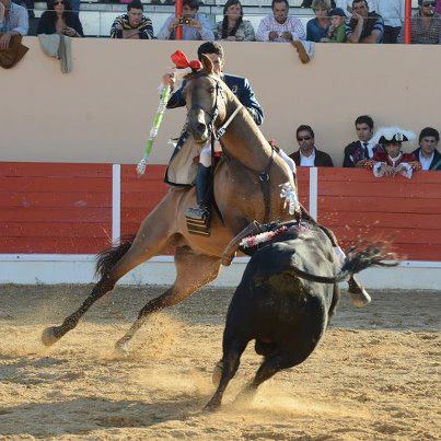 Ficheiro:Paulo Jorge Santos F8.jpg