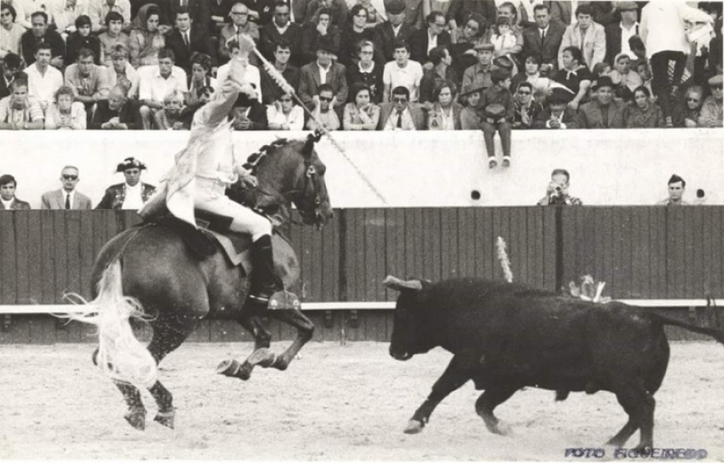 Ficheiro:David Ribeiro Telles F6.jpg