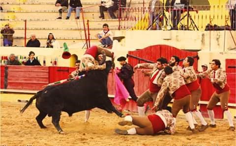 Ficheiro:GFA Arronches F12.jpg