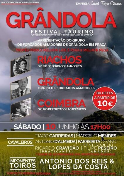 Ficheiro:Cartaz 0785.jpg