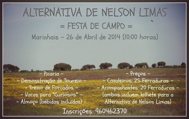 Ficheiro:Cartaz 0069.jpg