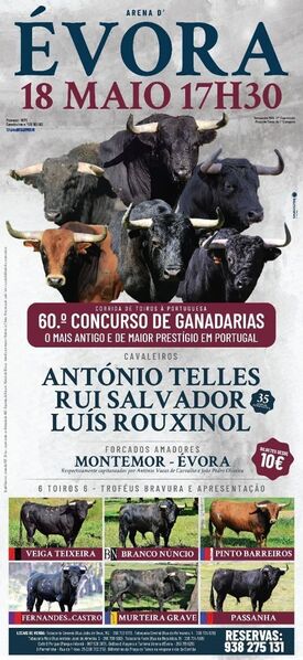 Ficheiro:Cartaz 0789.jpg