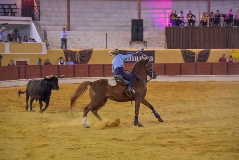 Ficheiro:Ass Eh! Toiro F126.jpg