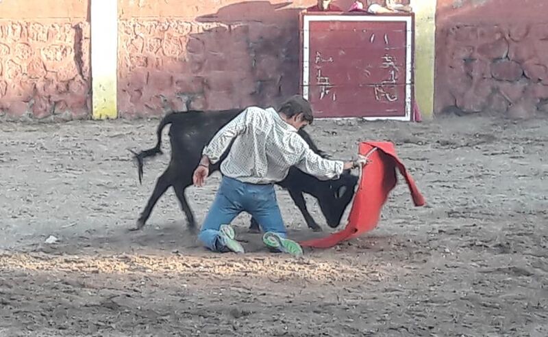 Ficheiro:Nuno Casquinha F12.jpg