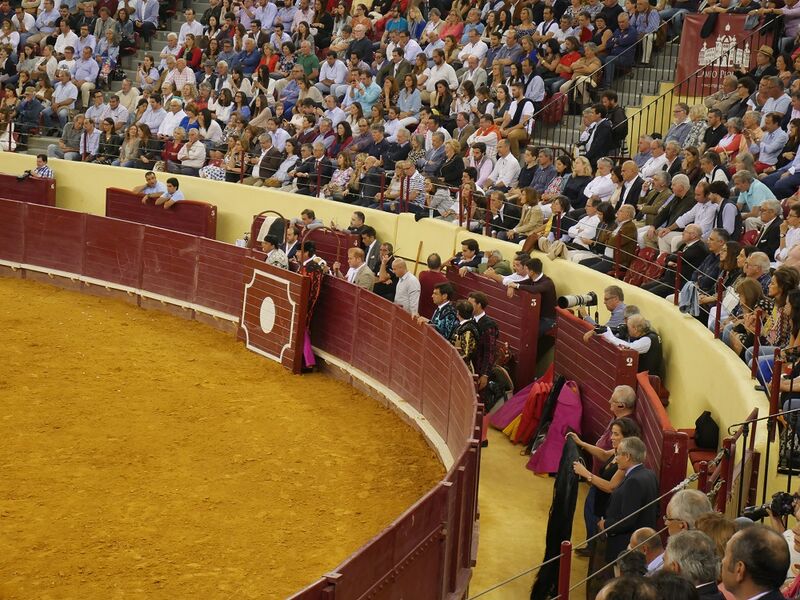 Ficheiro:Campo Pequeno F4.JPG