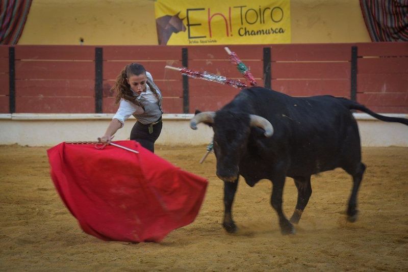 Ficheiro:Ass Eh! Toiro F118.jpg