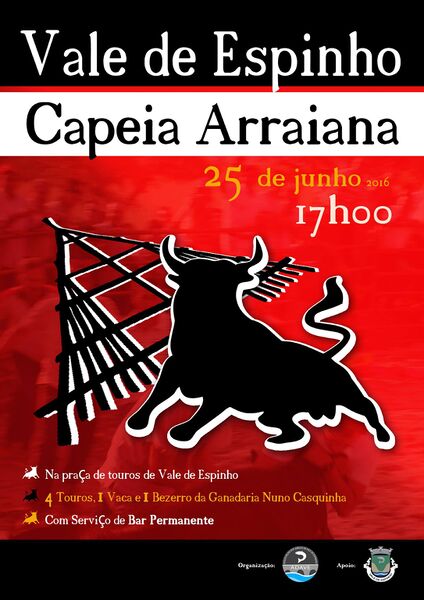 Ficheiro:Capeia ValedeEspinho(Junho) 2016.jpg