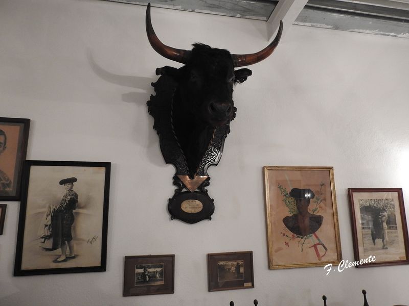 Ficheiro:Festa Brava F22.JPG