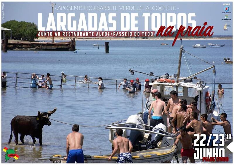 Ficheiro:LargadasPraia Alcochete 2019.jpg