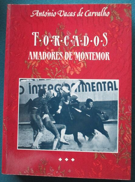 Ficheiro:EspolioAntonioMoraes (31).JPG