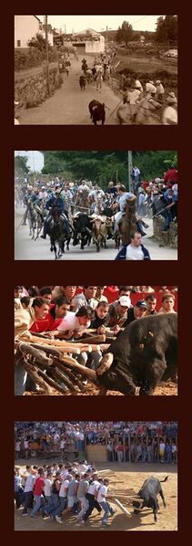 Ficheiro:Capeias Calendario 2014(2).jpg