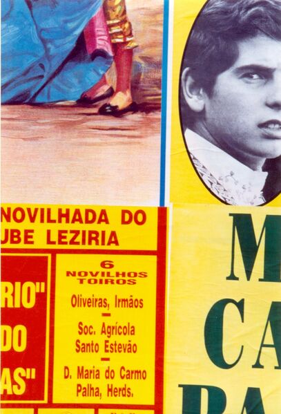 Ficheiro:F2166.jpg