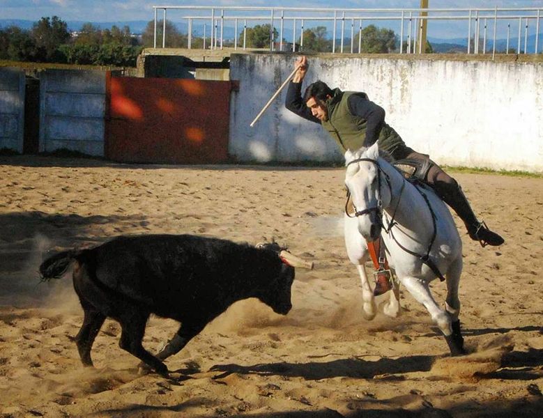 Ficheiro:David Gomes F21.jpg