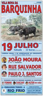 Cartaz pintura JCRosa 19-07-2014.jpg