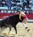 GFA Arronches F38.jpg