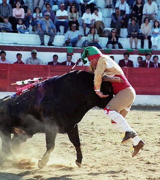 Ficheiro:GFA Arronches F38.jpg