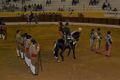 Chamusca F6.JPG