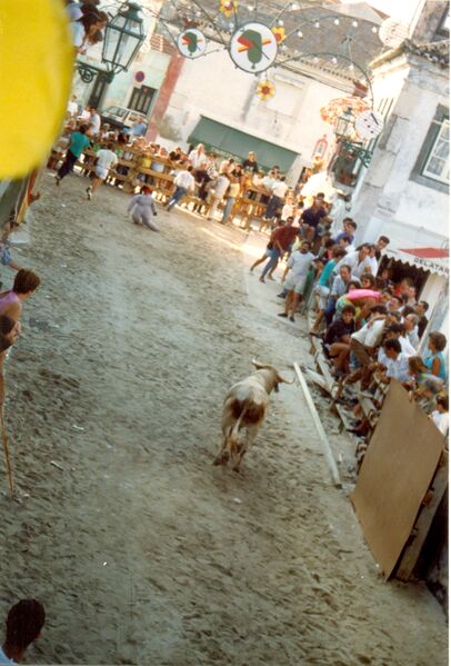 Ficheiro:F2308.jpg