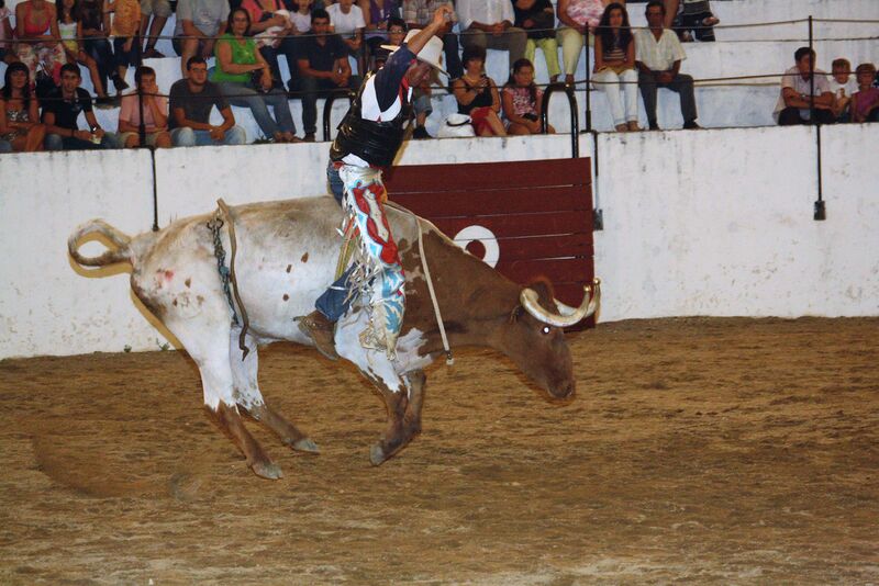 Ficheiro:Rodeo Brasileiro 009.jpg