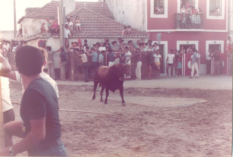 Ficheiro:F2180.jpg