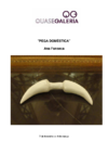 aaaaaa