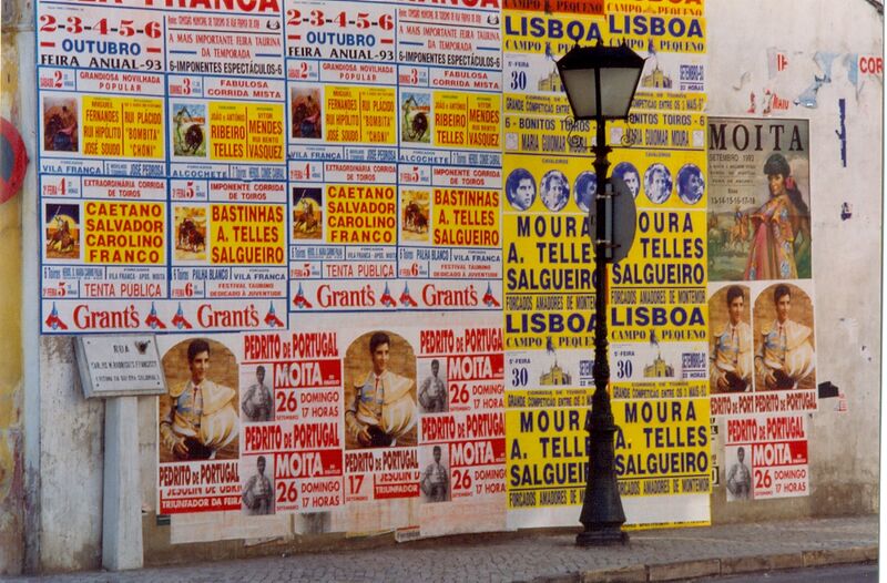 Ficheiro:F2311.jpg