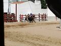 FeiraMaioAzambuja 20190602 112919.jpg
