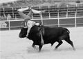 GFA Arronches F5.jpg