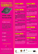 Programa SCT VFX 2014.png