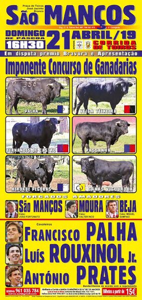 Ficheiro:Cartaz 0810.jpg