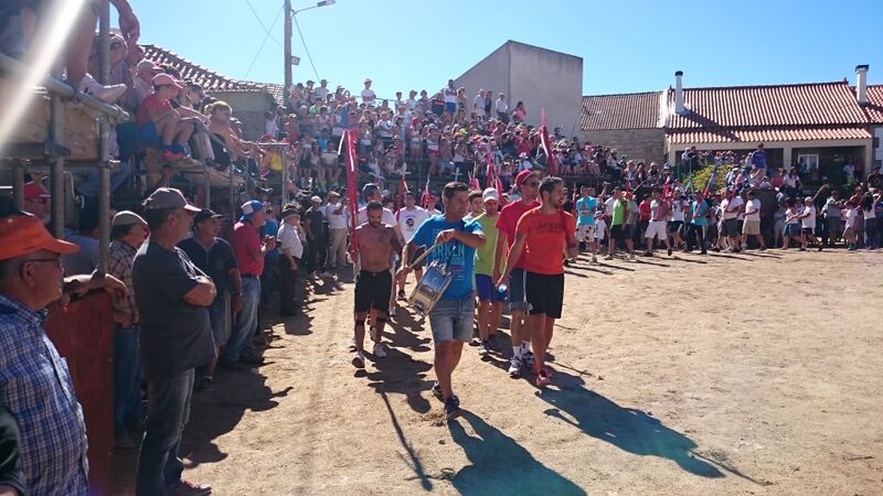 Ficheiro:CapeiaLageosaRaia 2015 DSC 0433.JPG