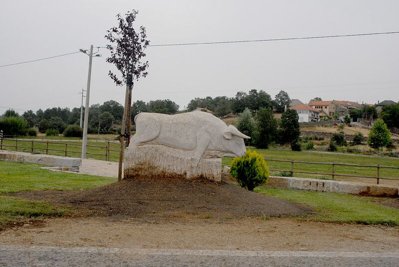 Ficheiro:Touro Aldeia-velha Eugenio-Macedo.jpg