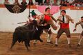 GFA Arronches F6.jpg