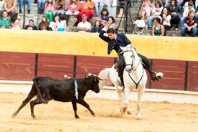 Ficheiro:Ass Eh! Toiro F22.jpg