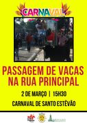 Carnaval SantoEstevao Benavente2019(2).jpg