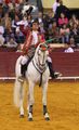 Tiago Carreiras F21.jpg