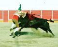 GFA Arronches F3.jpg