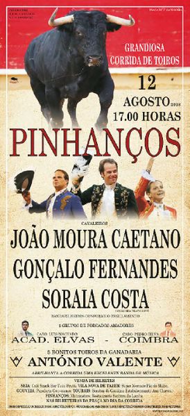 Ficheiro:Cartaz 0265.jpg